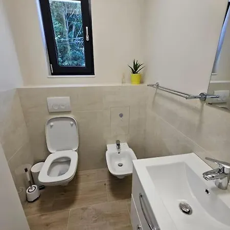Merisor Modern Διαμέρισμα