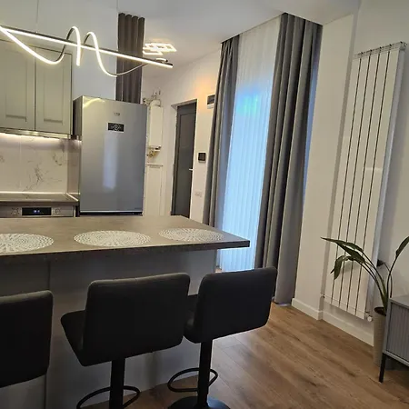Merisor Modern Διαμέρισμα